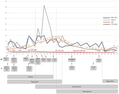 Case report: Azithromycin-meropenem combination therapy as a low-cost approach to combat PDR gram-negative infections of war wounds in Ukraine